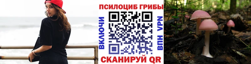 Галлюциногенные грибы мицелий  Ишим 